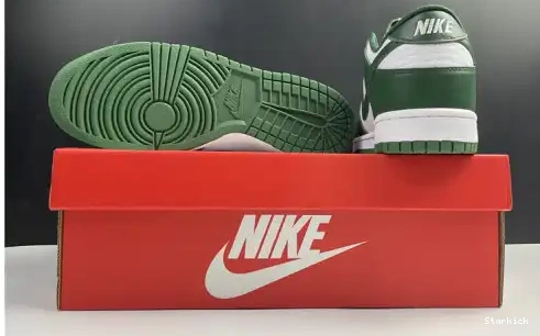 Low Dunk Spartan Green Nike DD1391-101 0501